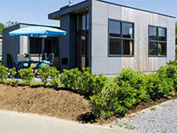 Z Module Wellness