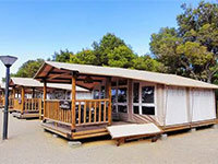 Sunlodge Jungle