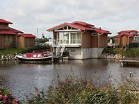 Goudplevier Comfort 10