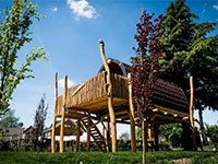 Treelodge 2