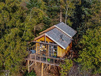 Boomhut XXL