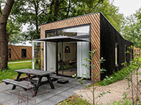 Forest Cabin 6