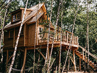 Tree House 2