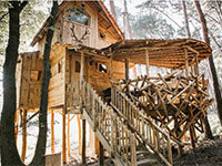Tree House 3