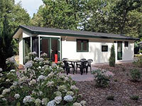 B Chalet Heidebloem 6