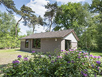 Bosbungalow Heidewachtel