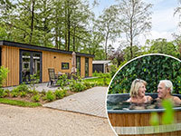 Module Wood Wellness