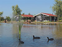 Wilgenhoeve