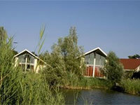 Meerkoet 4