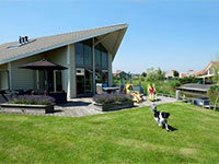 Rietgans 6