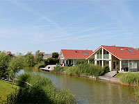Aalscholver 8