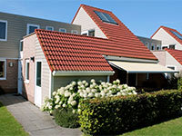 IJsvogel 8 mindervalide