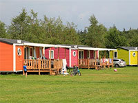 chalet Lupine