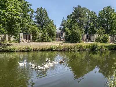Thumbnail 2 van Center Parcs Erperheide