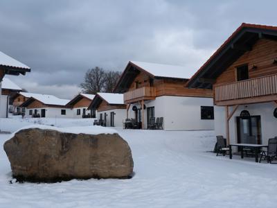 Thumbnail 2 van Landal Arber