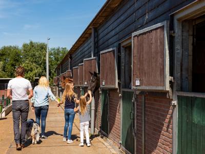 Thumbnail 4 van TopPark Parc de IJsselhoeve