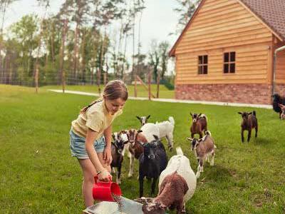 Thumbnail 5 van Terhills Resort by Center Parcs