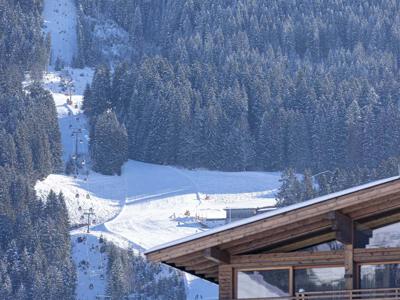 Thumbnail 2 van Chalet 149 Westendorf