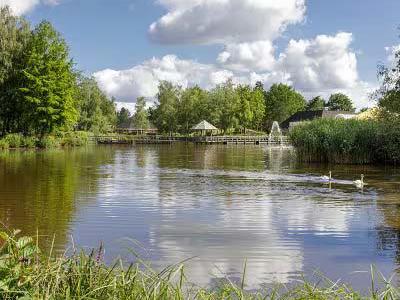 Thumbnail 4 van Center Parcs Limburgse Peel