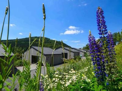 Thumbnail 3 van UplandParcs Sauerland Lodge