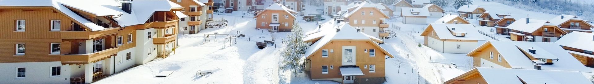 Winterse Vakantieparken